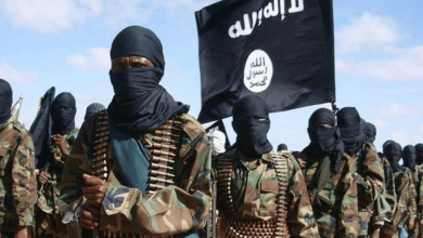 مقاتلات تورنادو البريطانية watanserb.com