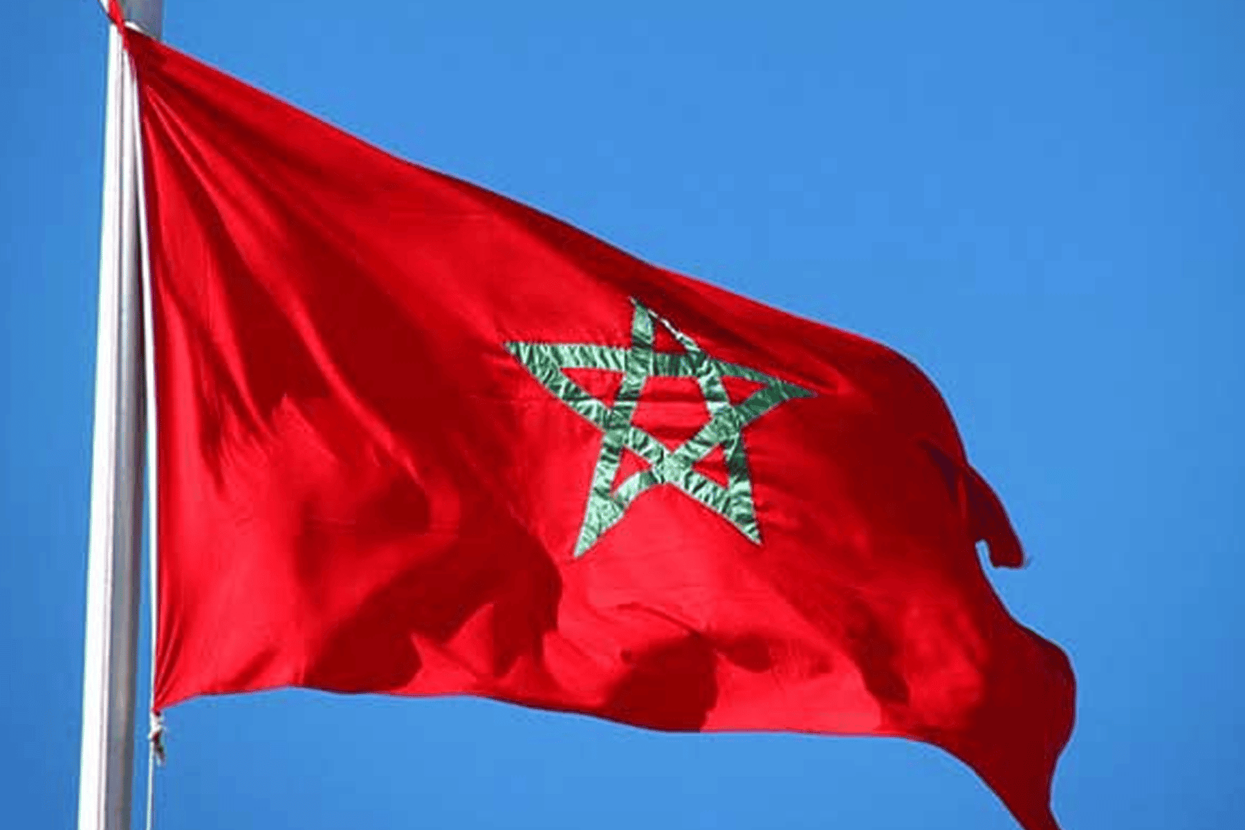 فرض سن التقاعد لـ63 watanserb.com