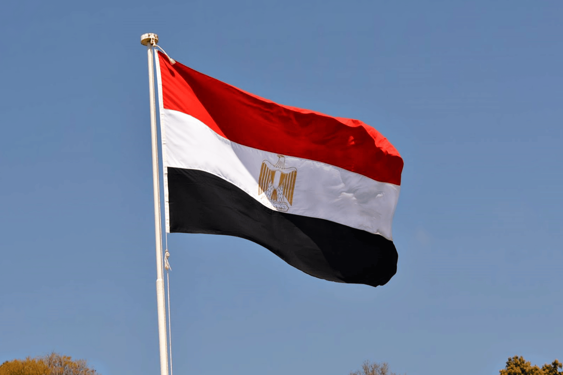 تعاطي المخدرات في مصر watanserb.com