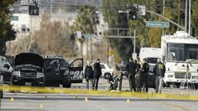 هجوم كاليفورنيا watanserb.com