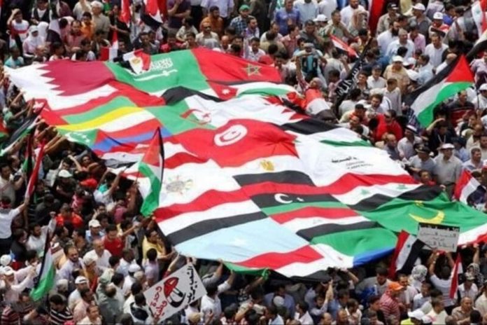 الثورات العربية وحقوق الإنسان watanserb.com