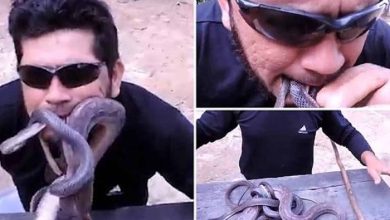 برازيلي يضع ثعابين داخل فمه watanserb.com
