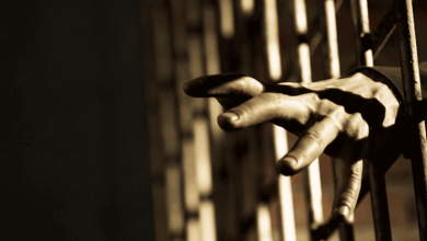 تعذيب ممنهج في سجن المرناقية watanserb.com