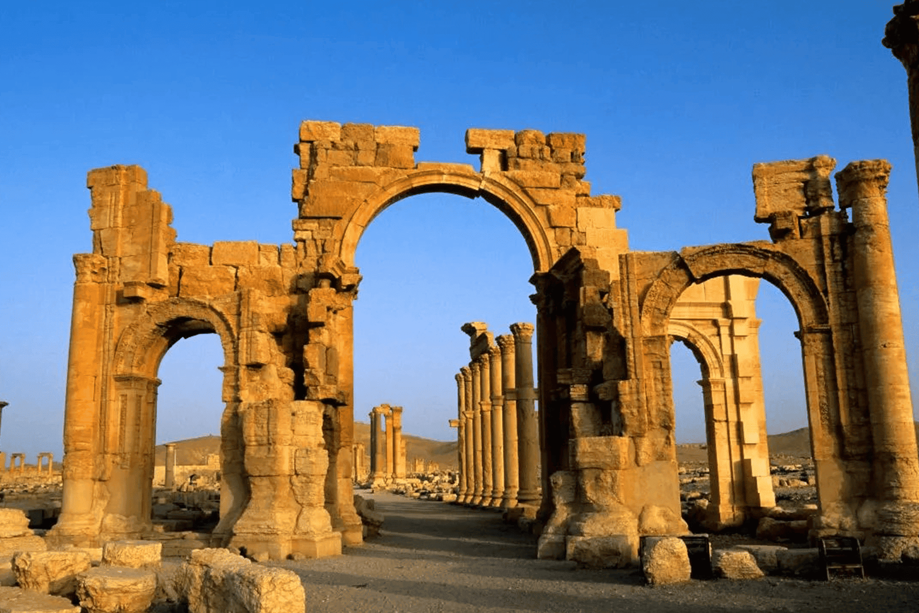 سرقة الإرث الثقافي في تدمر watanserb.com