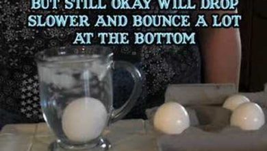 أبسط طريقة لكشف البيض الفاسد