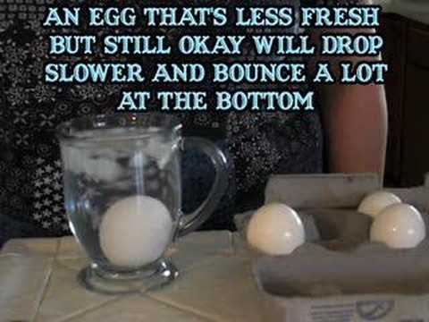 أبسط طريقة لكشف البيض الفاسد