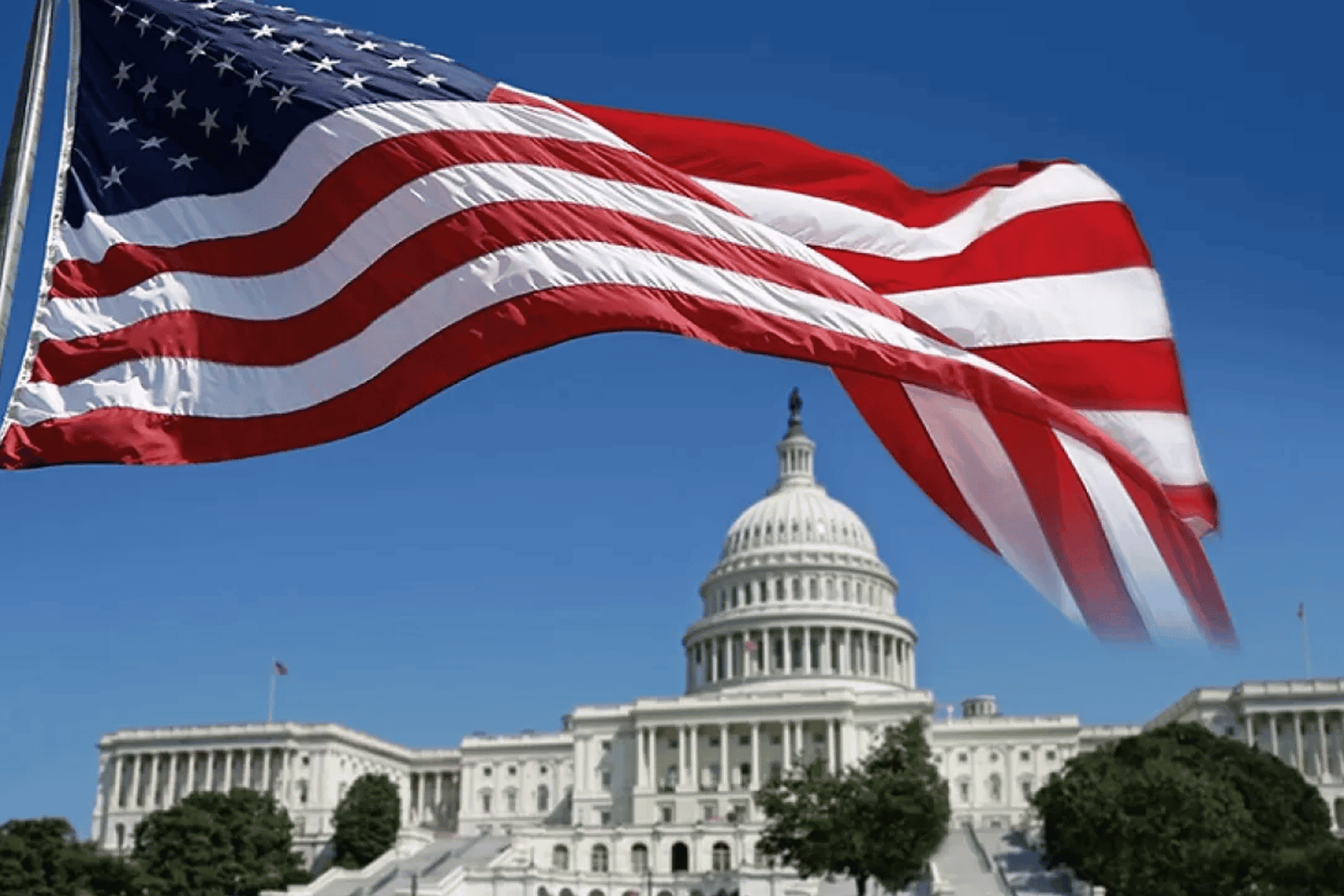 معاهد البحث الامريكية watanserb.com