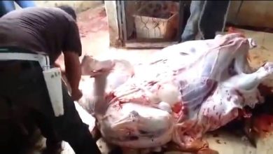 أمهر جزار في العالم.. فلسطيني