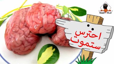 إيجابيات وسلبيات أكل دماغ الخروف أوالبقر مطبوخ