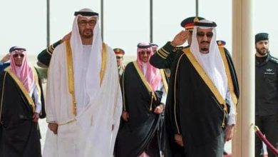 الملك وابن زايد watanserb.com