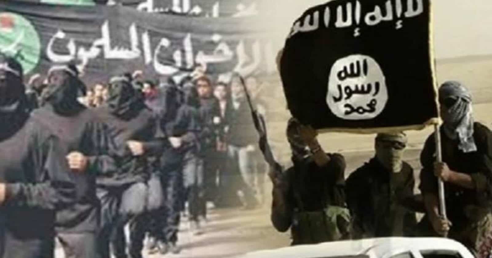 الإخوان وداعش watanserb.com