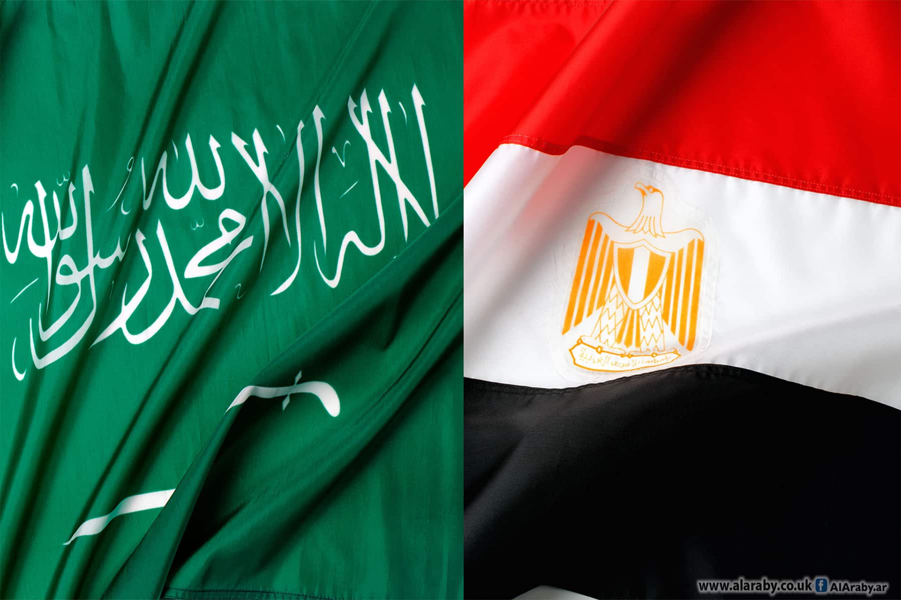 مصر والسعودية خارج قائمة حظر ترامب watanserb.com