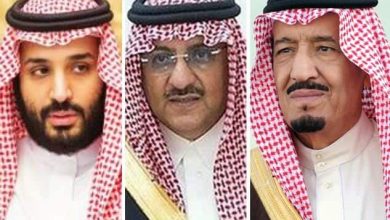 الملك وابنه واخيه watanserb.com