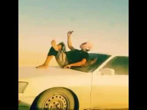 عُماني يقود مركبته وصديقه فوق غطاء السيارة