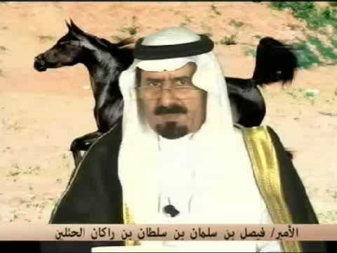 فيصل بن سلطان بن راكان بن حثلين watanserb.com
