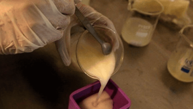 صابون ابن سلمان watanserb.com