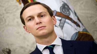 كوشنر watanserb.com