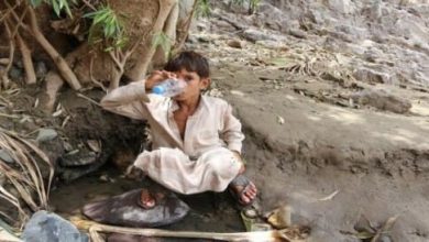 اليمن watanserb.com