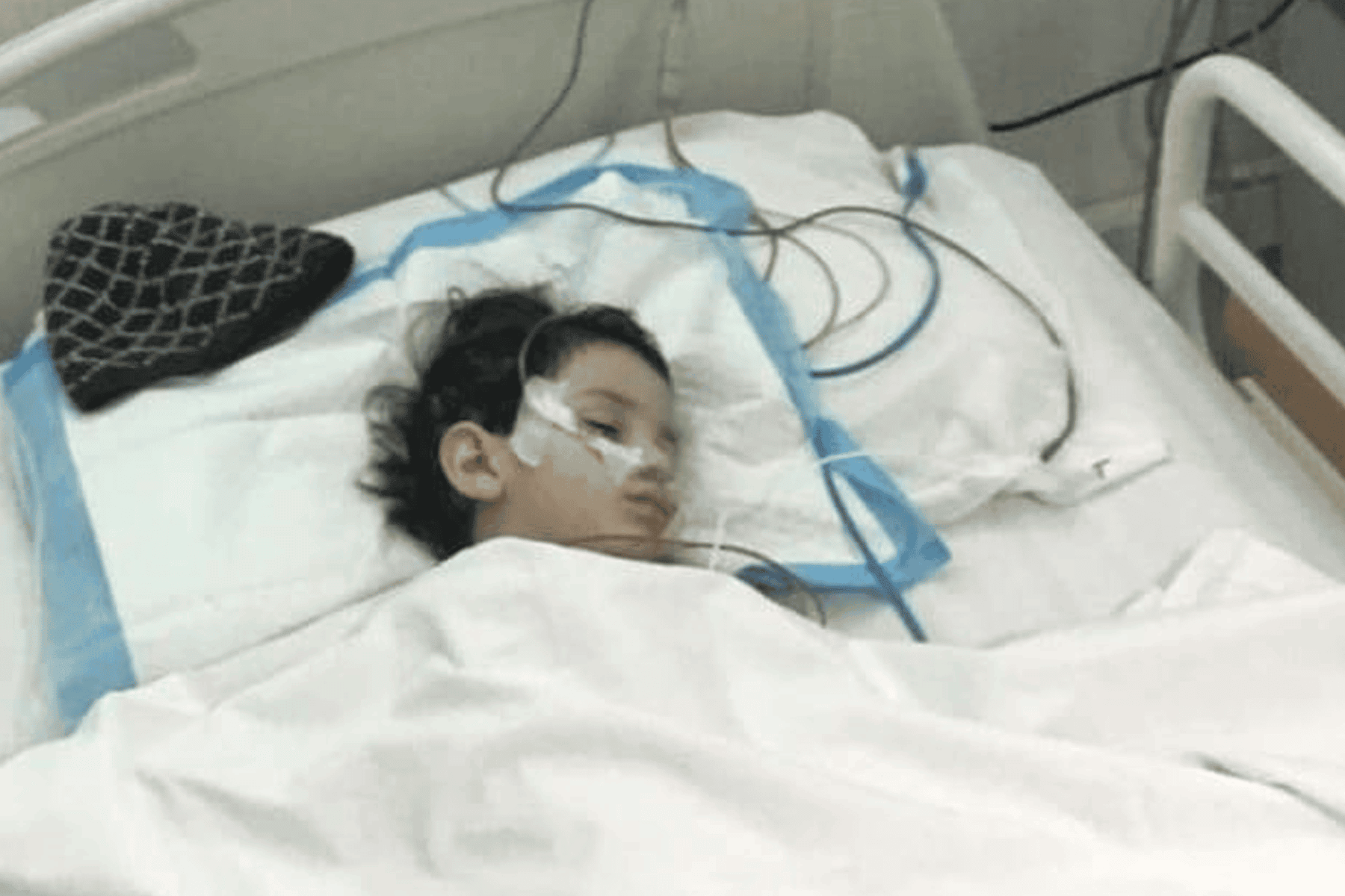 محمد وهبة watanserb.com