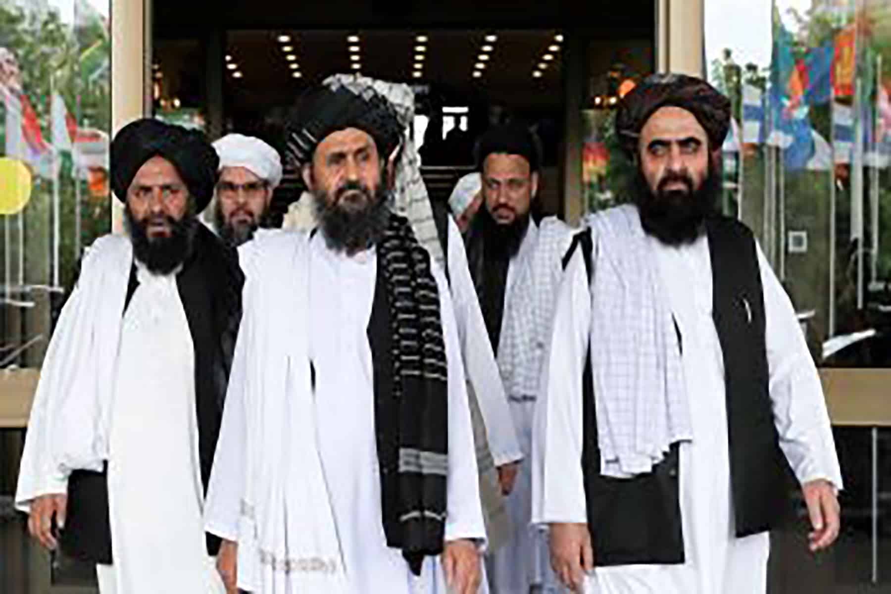 النجار والتسامح watanserb.com