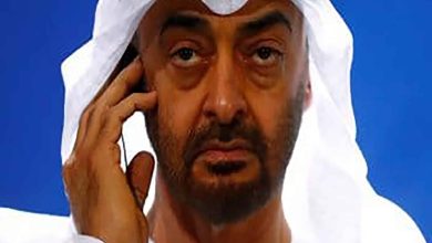 الامارات وسياسي مصري watanserb.com