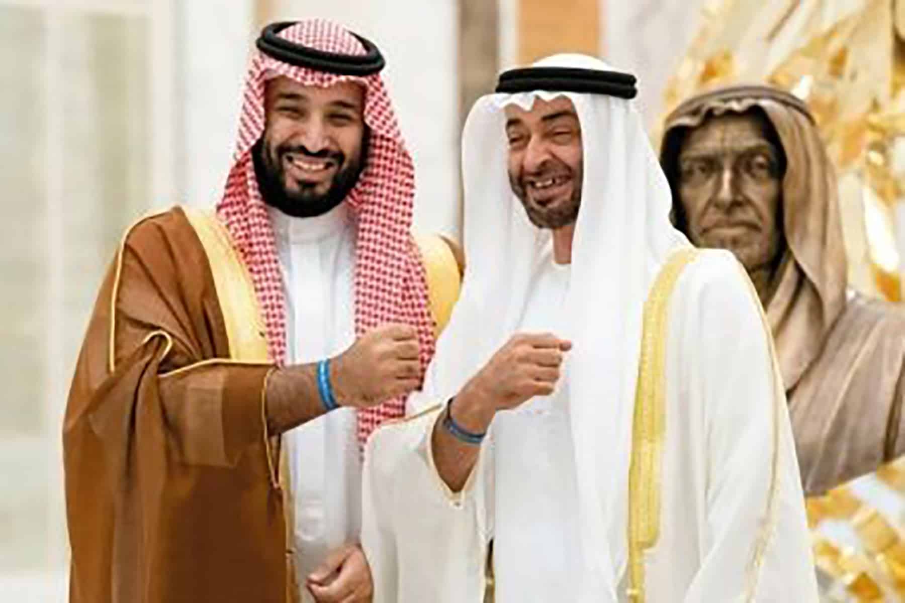 كاتب سعودي وابن زايد watanserb.com