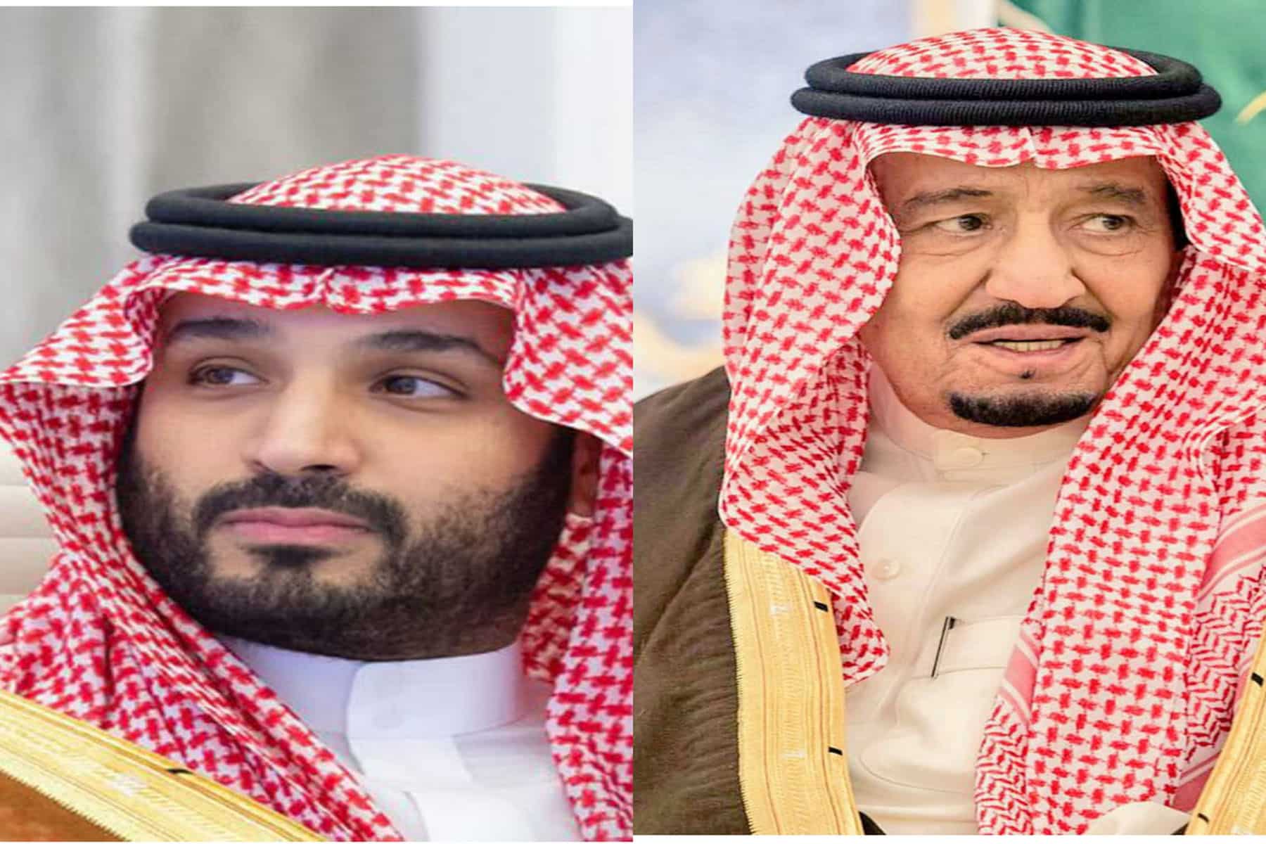 الملك سلمان ومحمد بن سلمان watanserb.com