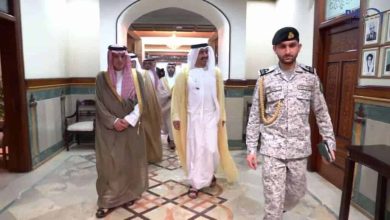 الجبير وابن زايد watanserb.com