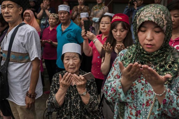 مسلمين الأويغور watanserb.com