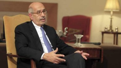 محمد البرادعي watanserb.com