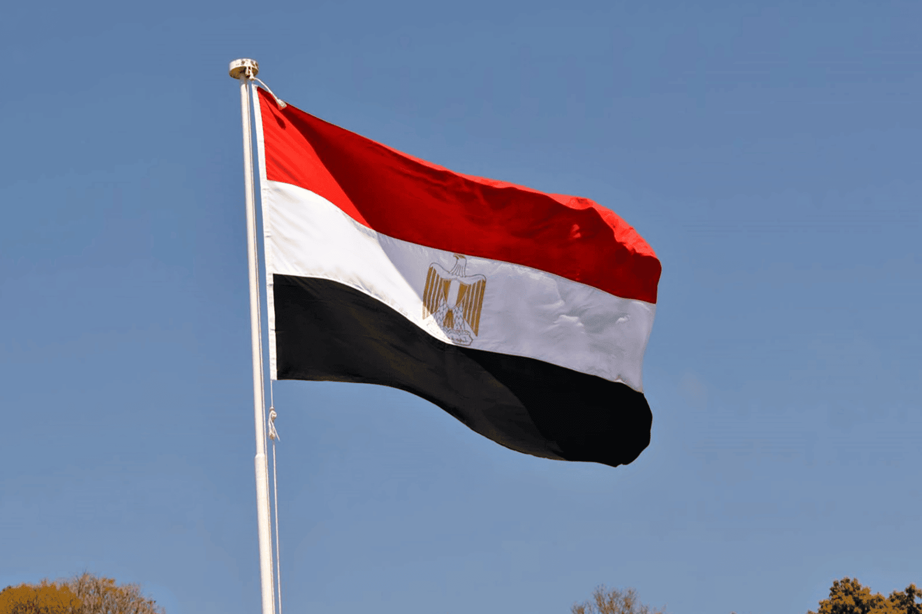 مصري يخذل والدته watanserb.com