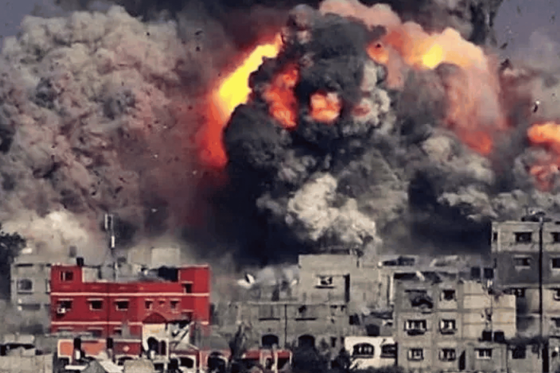 كاتب قطري وأبطال غزة watanserb.com