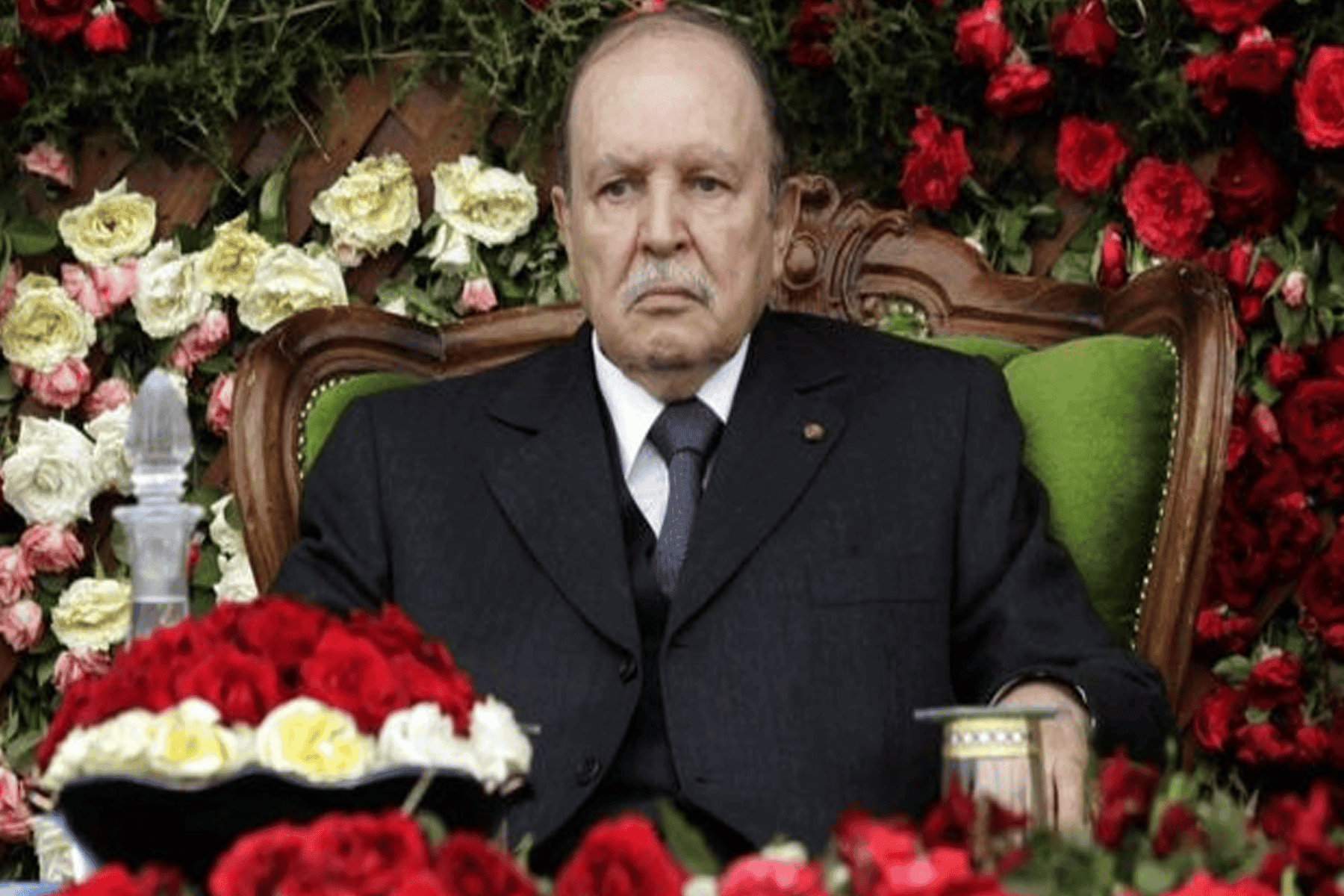 الجنرالات استولت على الحكم watanserb.com