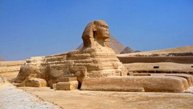 سفاح نيوزيلندا watanserb.com