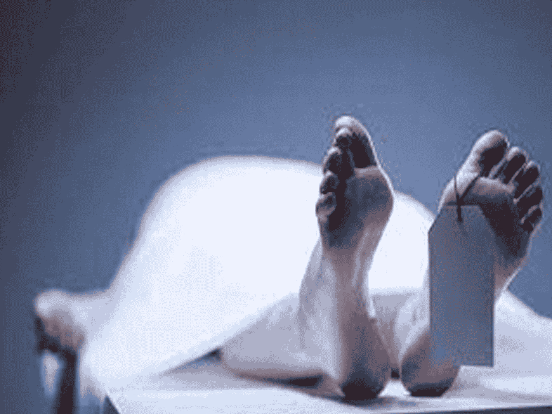 أدلة لأشخاص عادوا من الموت watanserb.com