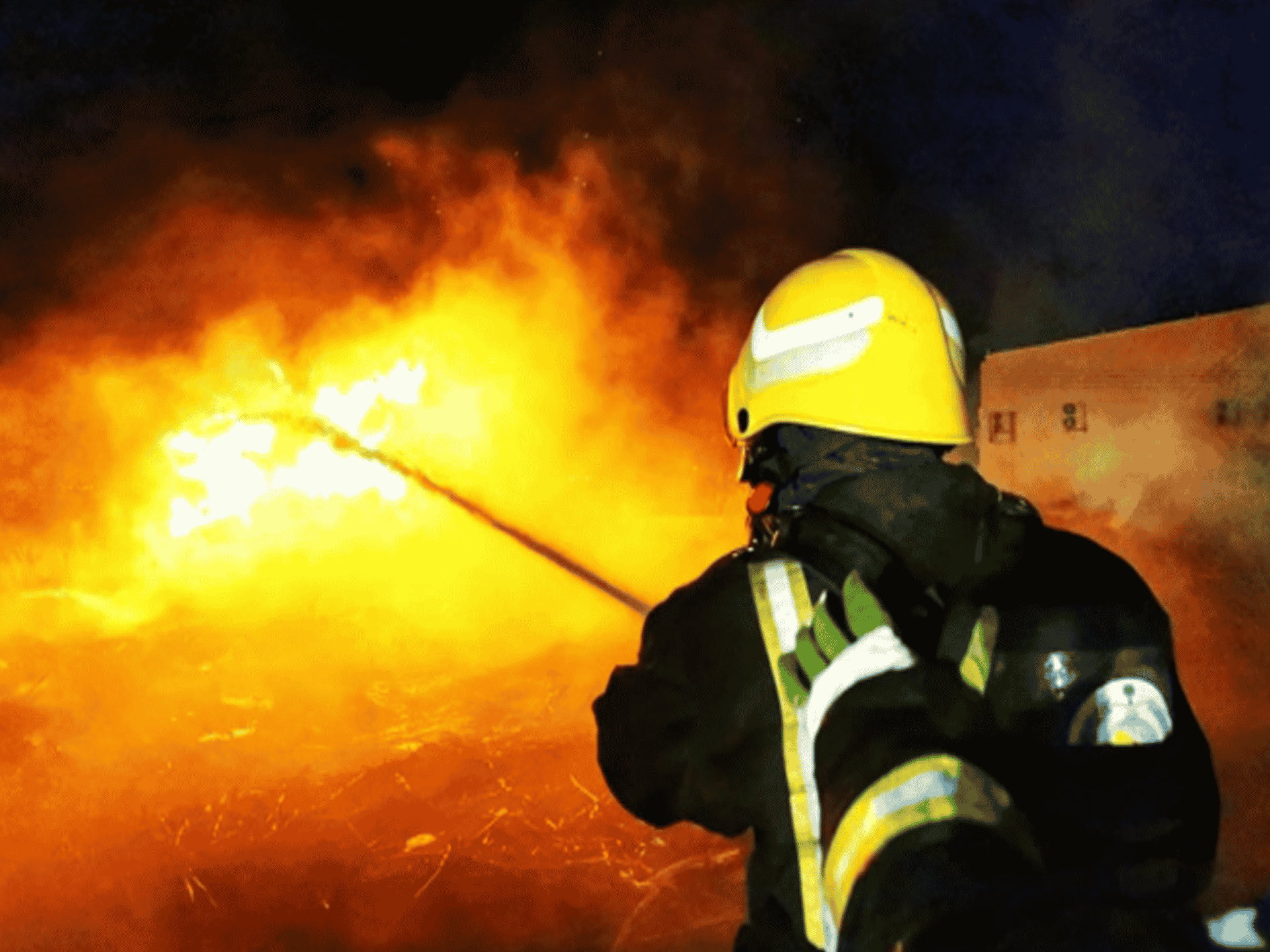 كارثة في الإمارات watanserb.com