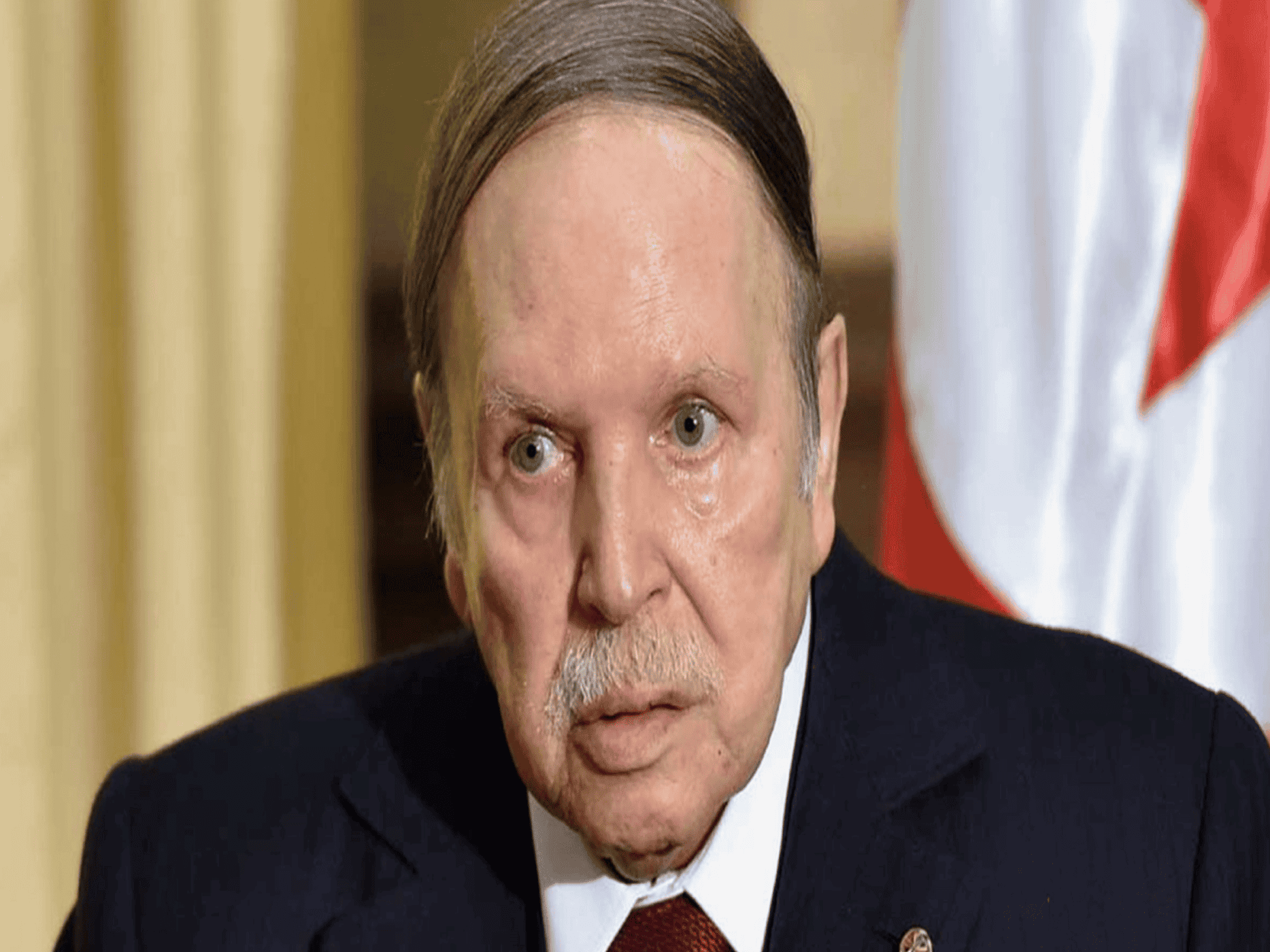 بوتفليقة يستقيل watanserb.com