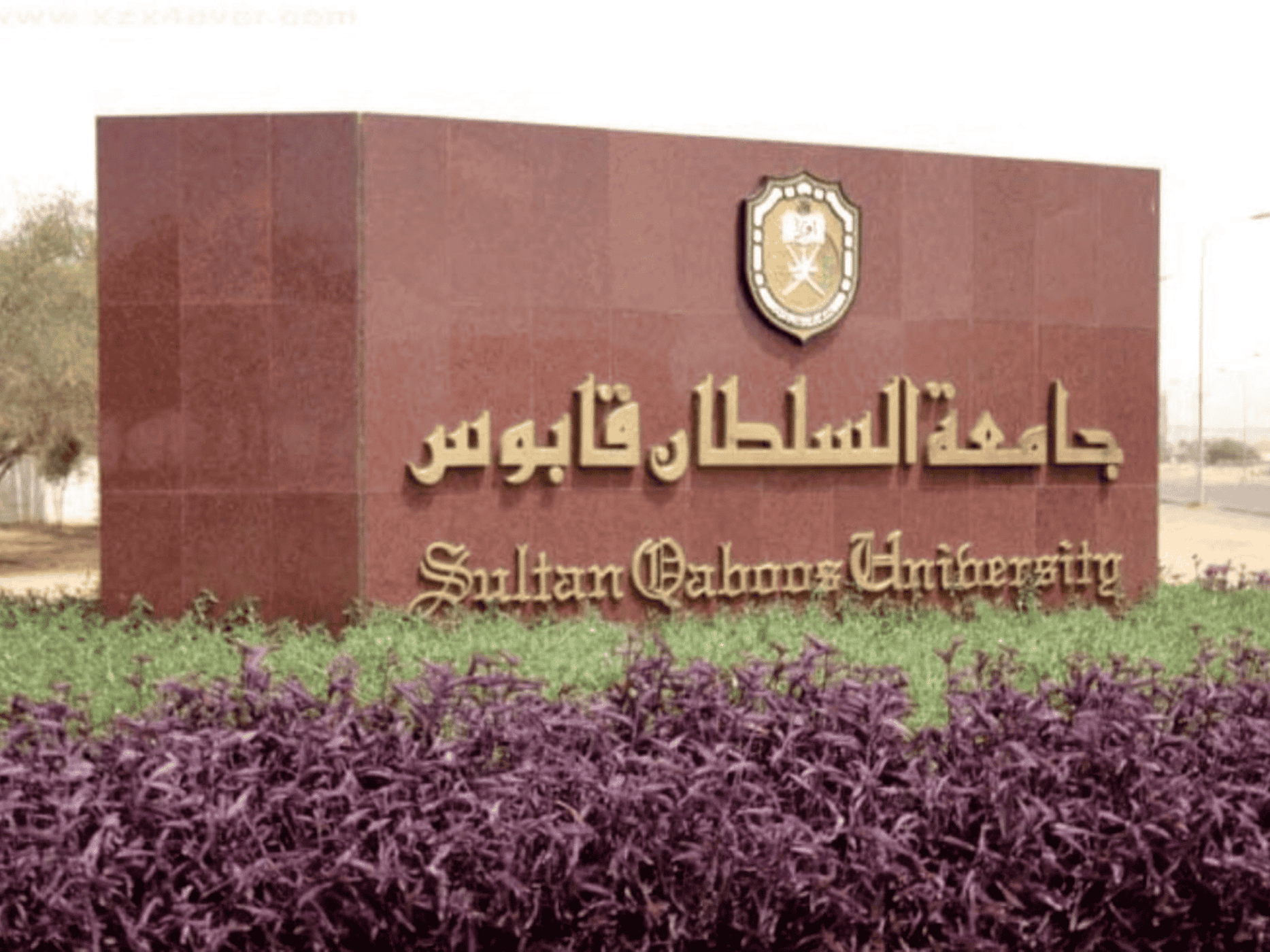 جامعة السلطان قابوس watanserb.com