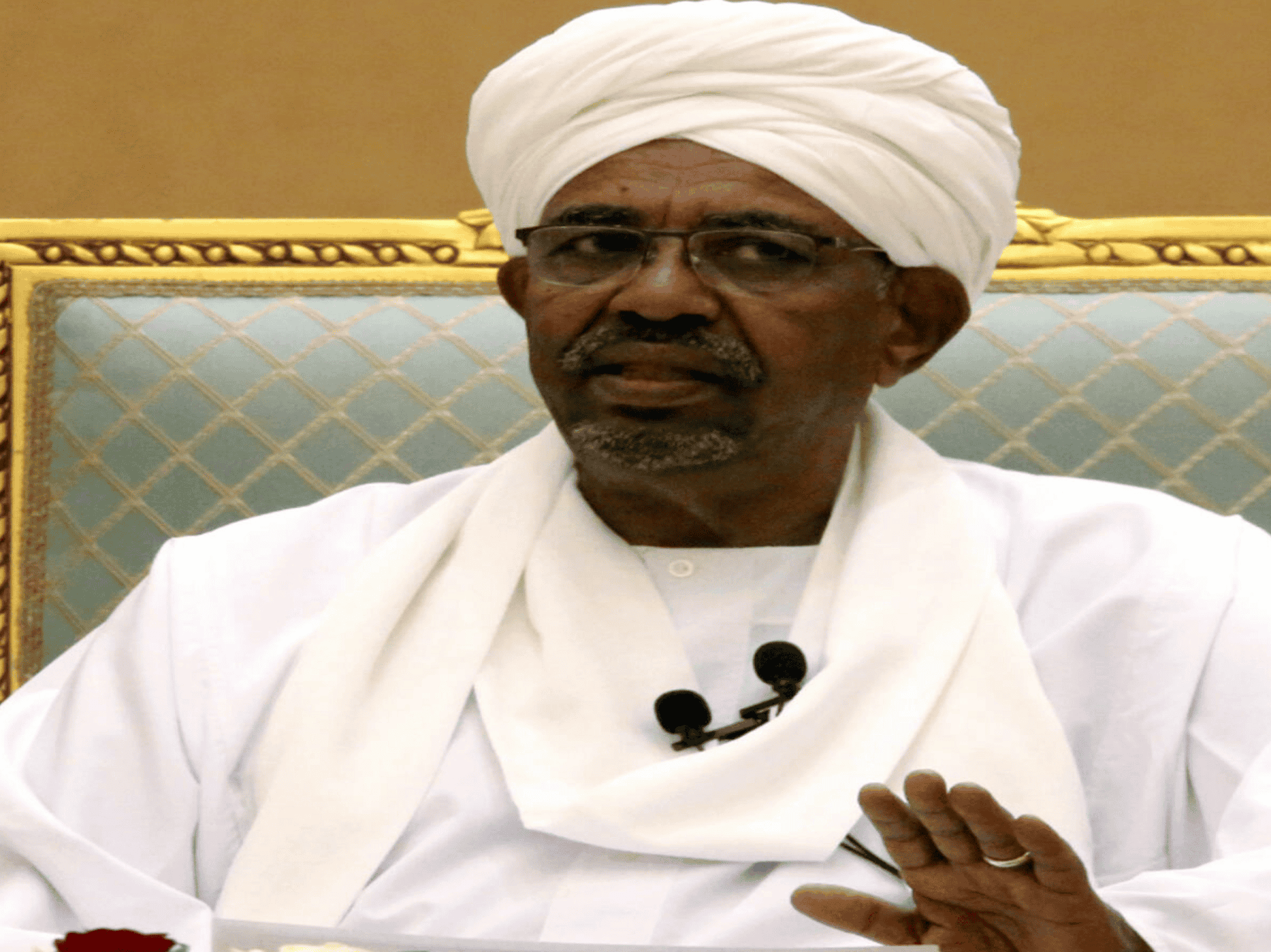 تقرير عن الدور السعودي watanserb.com