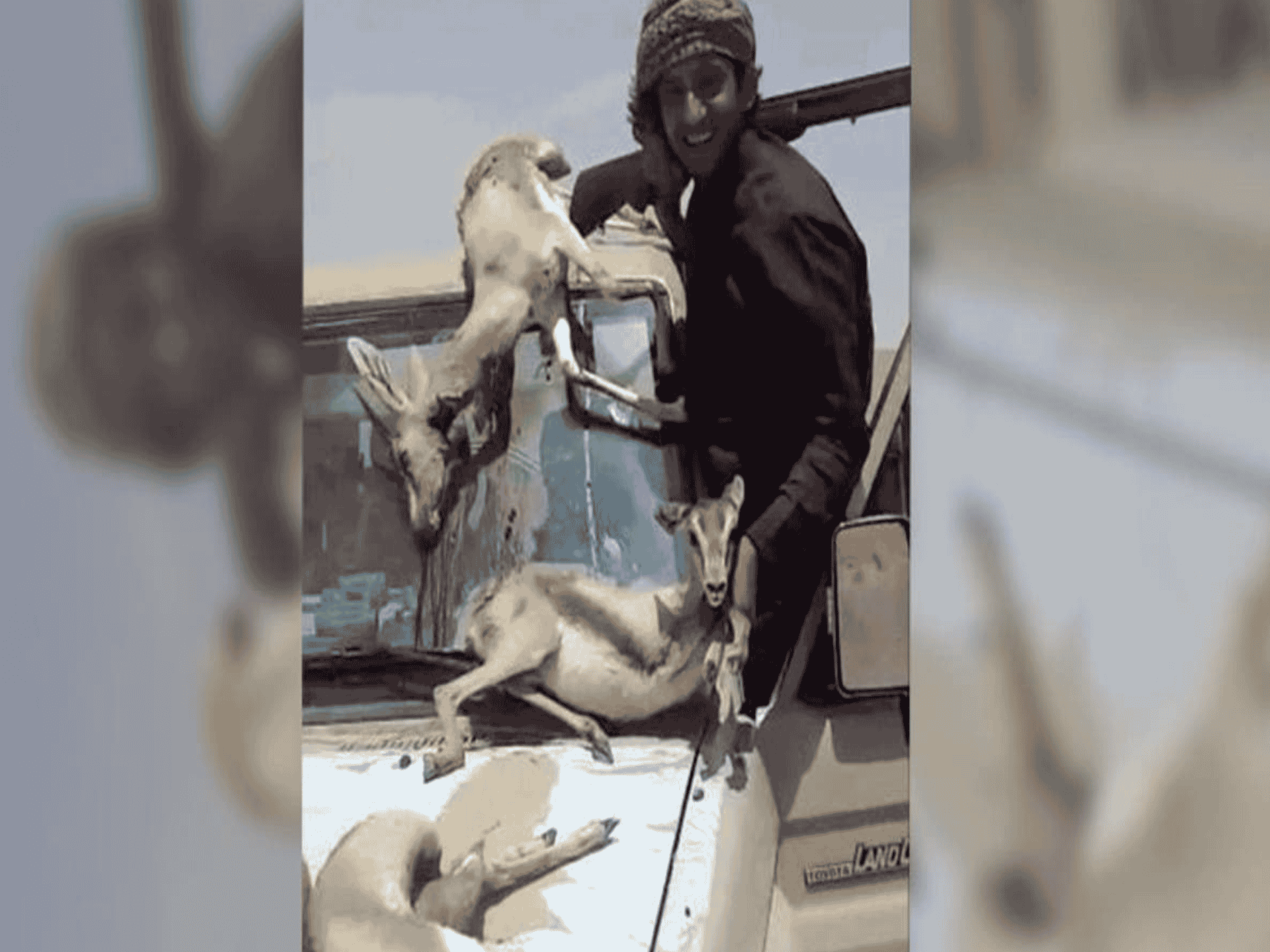 مجزرة عند الحدود الأردنية السورية watanserb.com