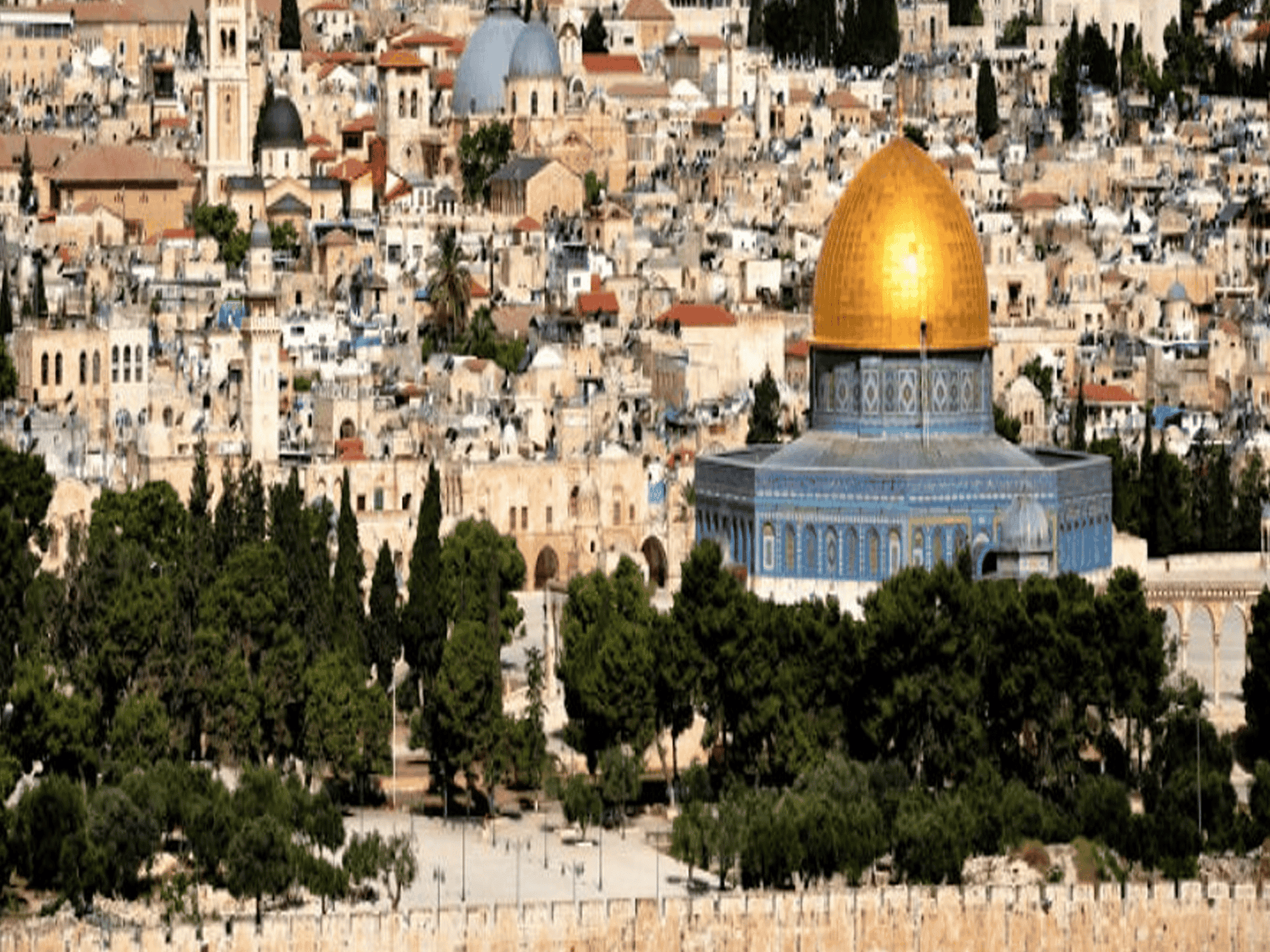 فلسطين قضية أمة watanserb.com