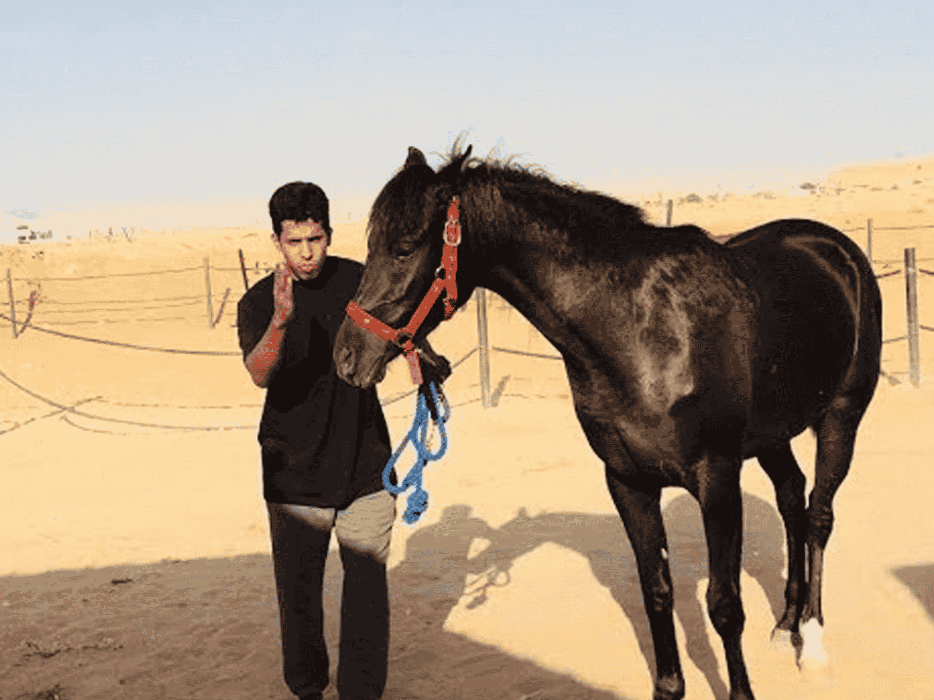 مشهد يحبس الأنفاس watanserb.com