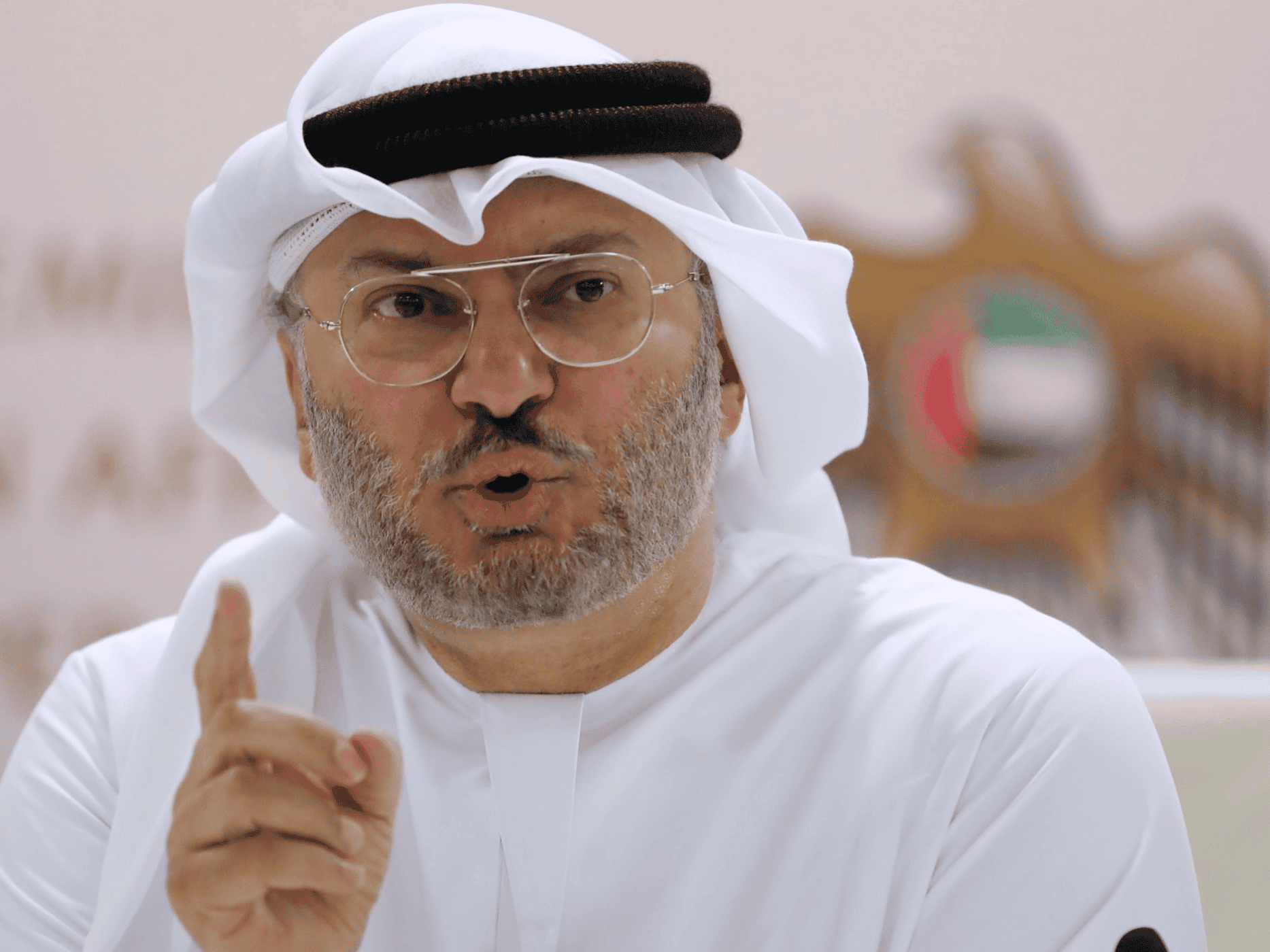 ابن زايد و أنور قرقاش watanserb.com