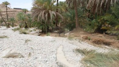 منخفض الغفران watanserb.com