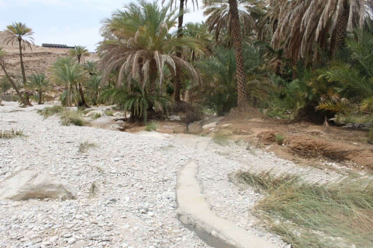 منخفض الغفران watanserb.com