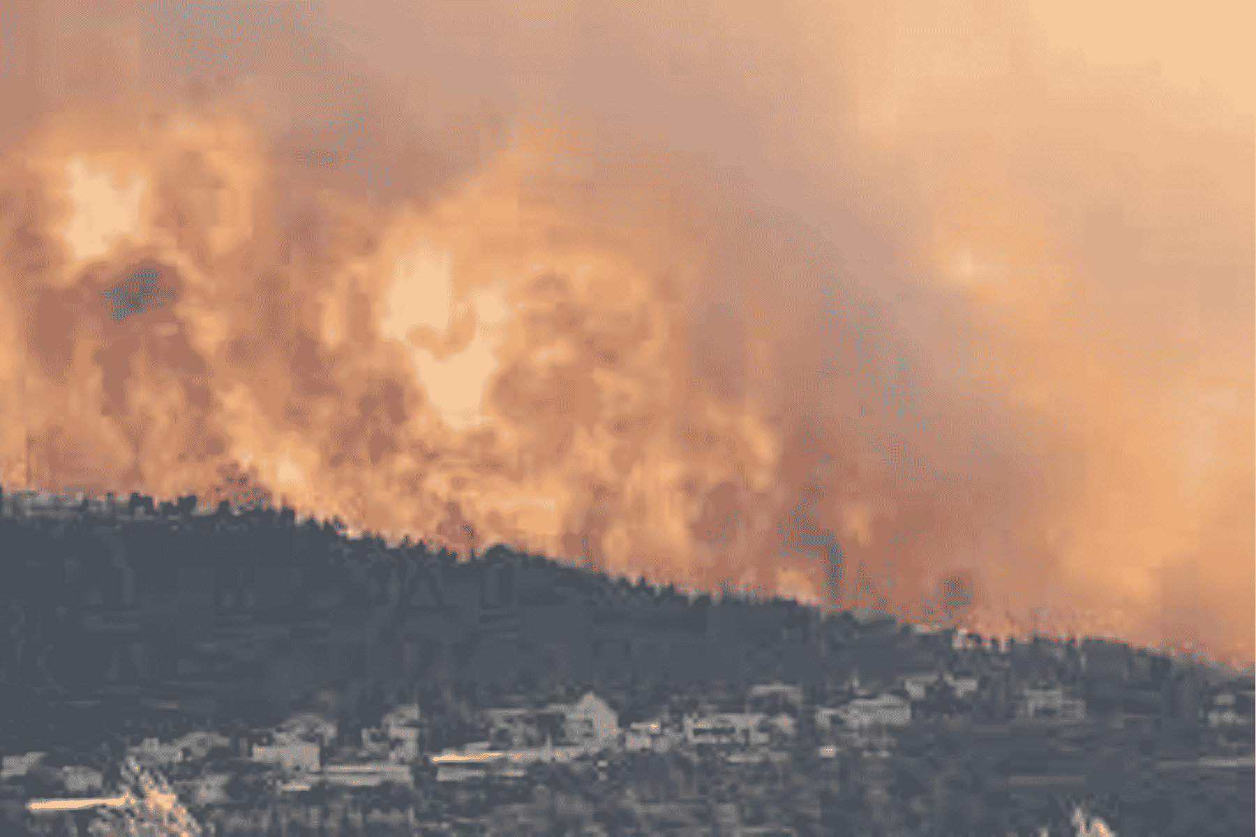 نتنياهو السيسي حرائق إسرائيل watanserb.com