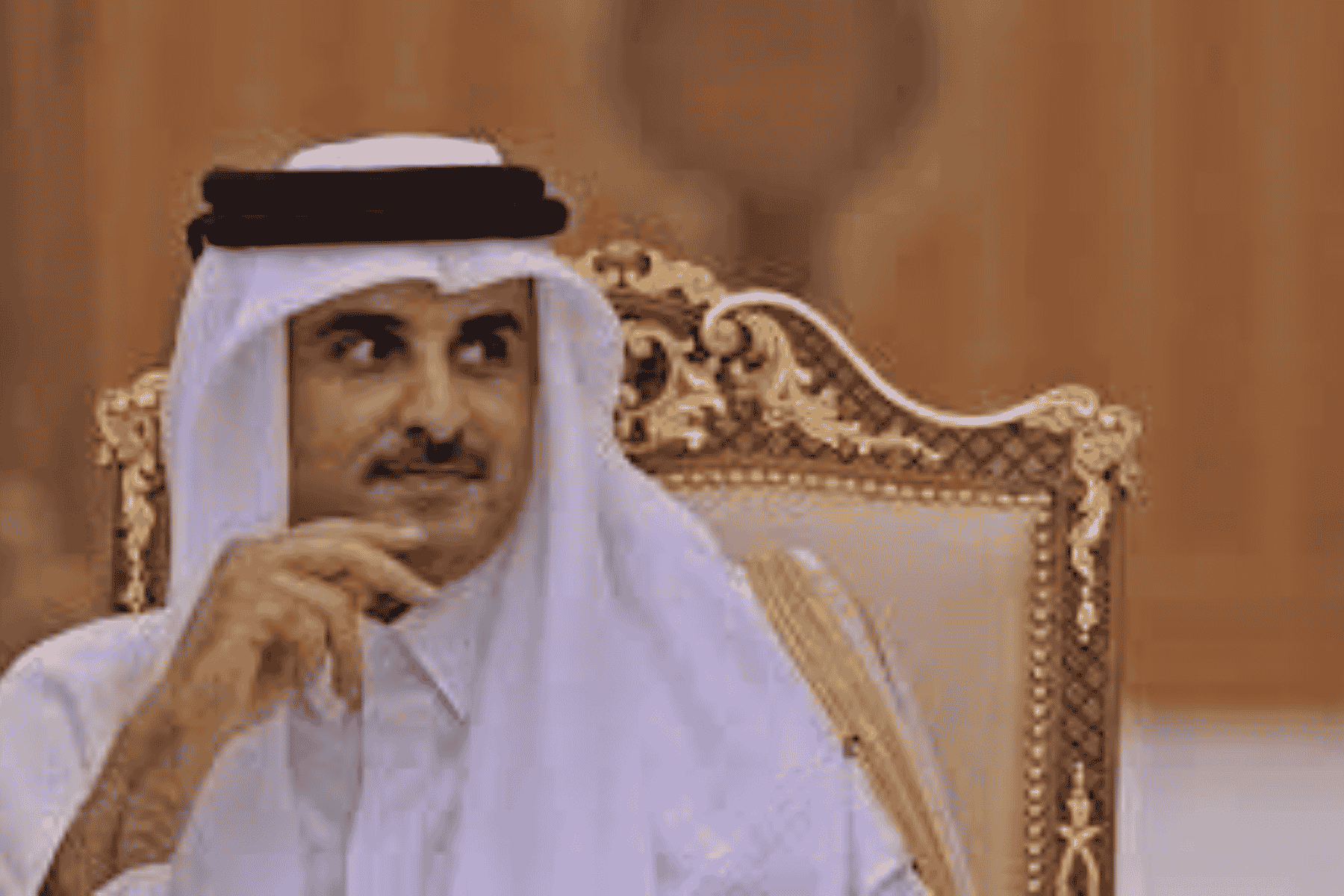 أمير قطر افتتاح استاد الوكرة watanserb.com