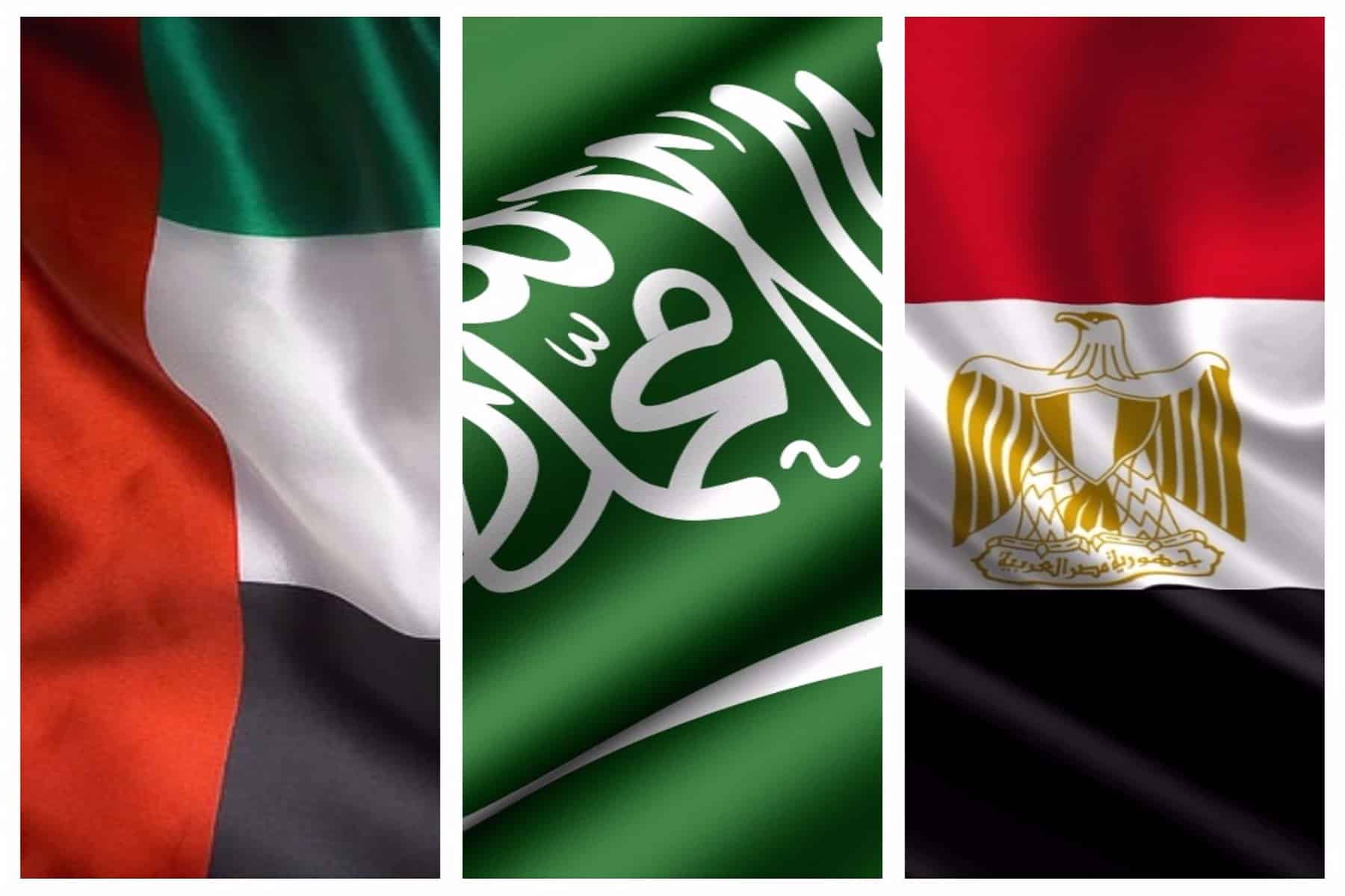 حكام السعودية والإمارات ومصر watanserb.com
