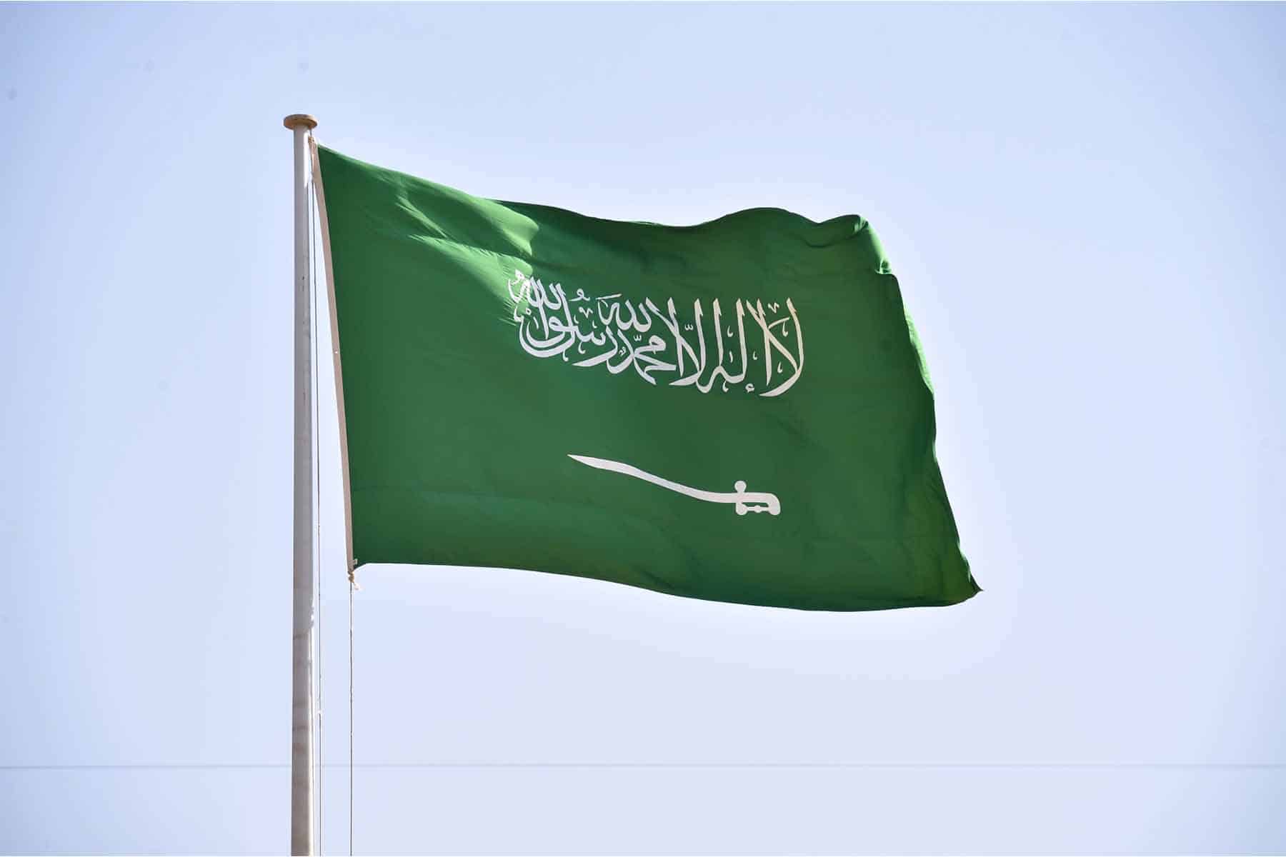 الدبلوماسي السعودي watanserb.com