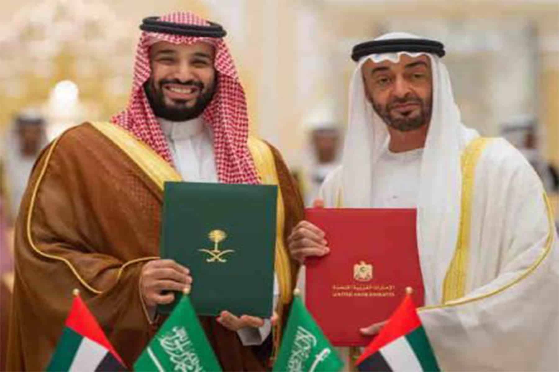 وليي عهد السعودية وأبوظبي watanserb.com